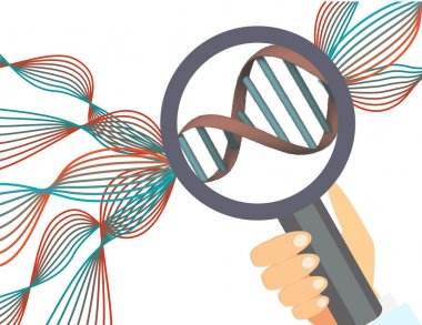 All You Need to Know About Genetic Testing