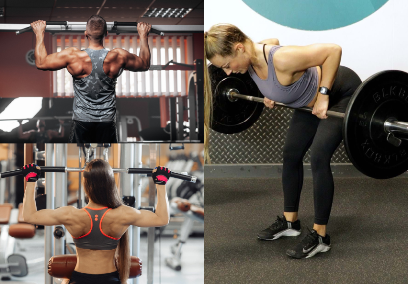 Back Workout