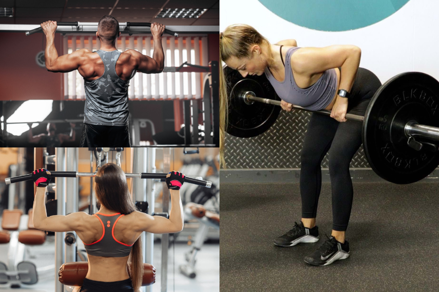 Back Workout