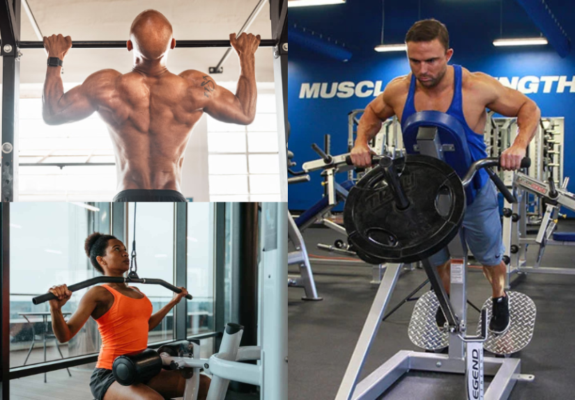 Back Workout