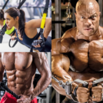 Chest Workout