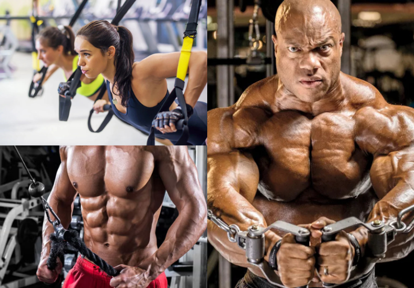 Chest Workout