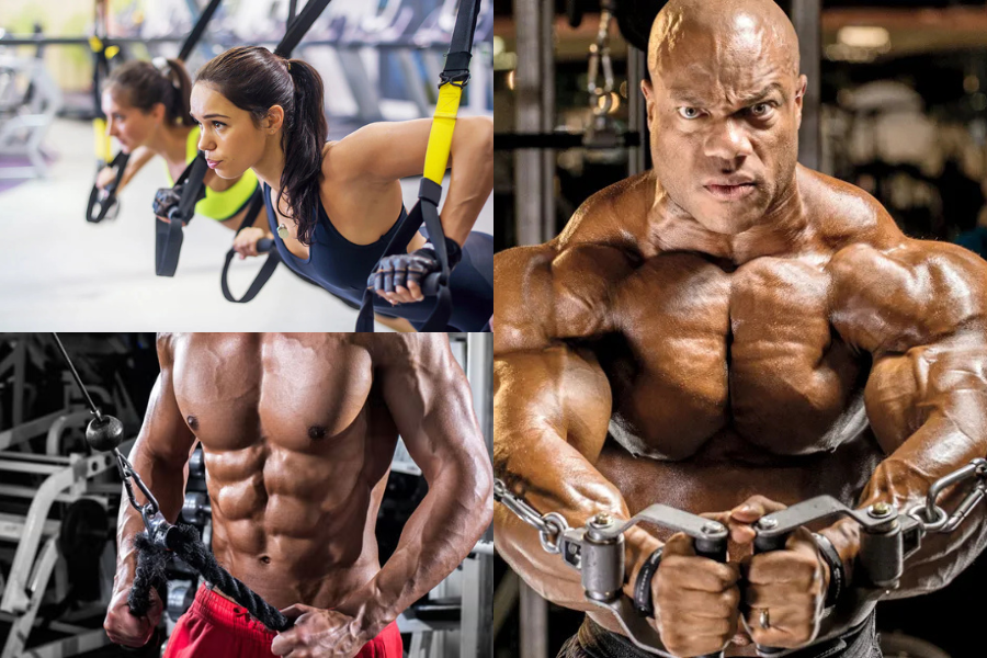 Chest Workout