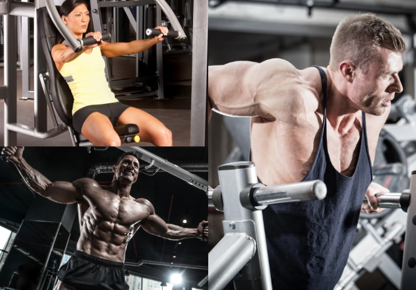 Best Chest Exercises