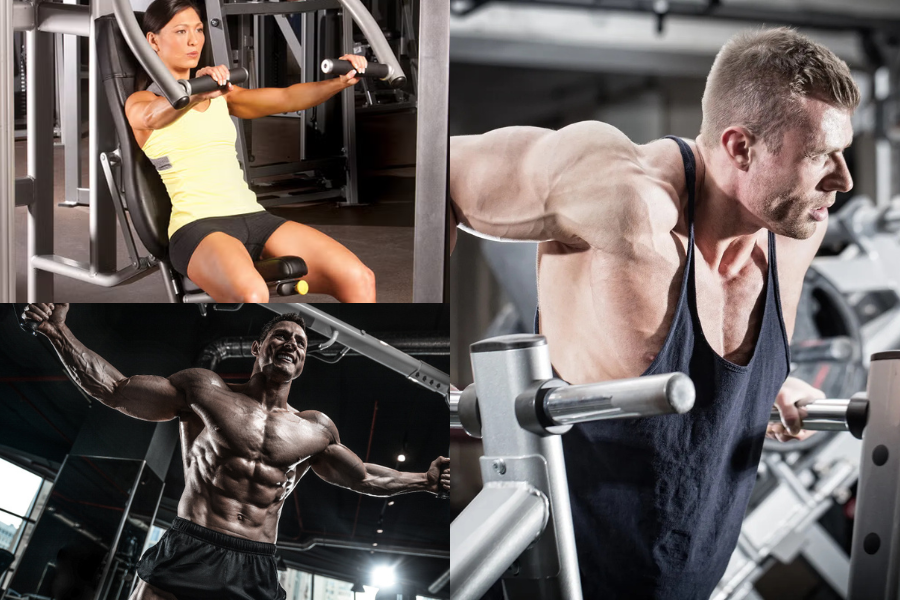 Best Chest Exercises