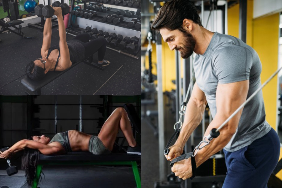 Best Chest Exercises