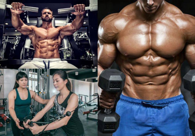 Best Chest Exercises