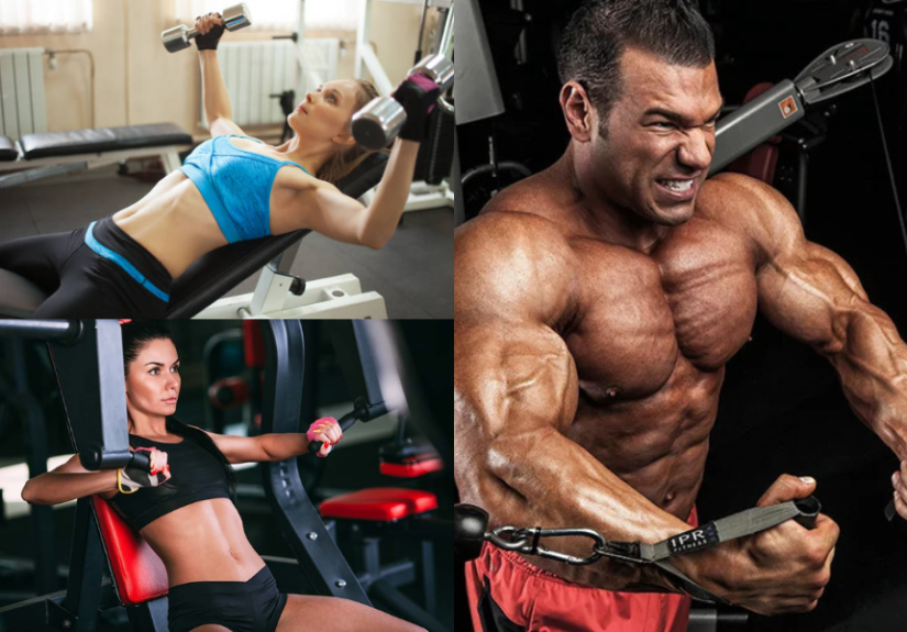 Best Chest Exercises