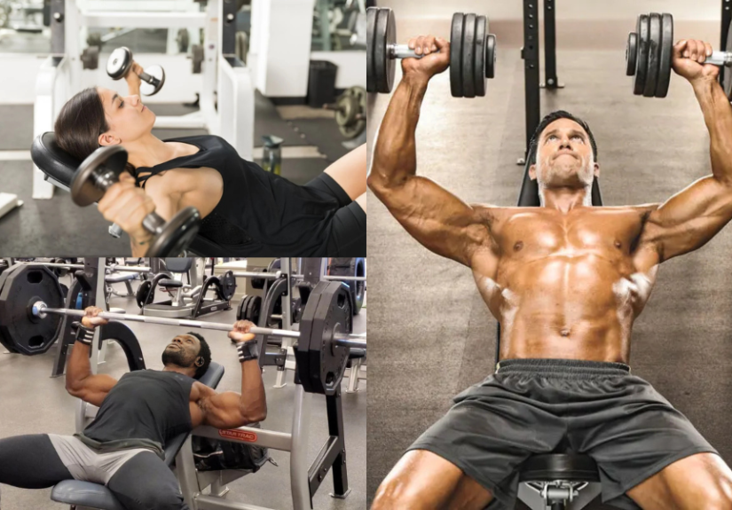 Chest Workout