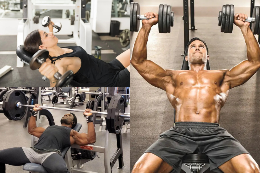 Chest Workout