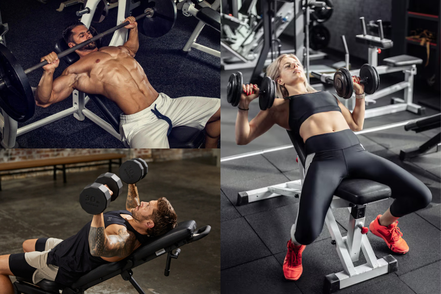 Best Chest Exercises