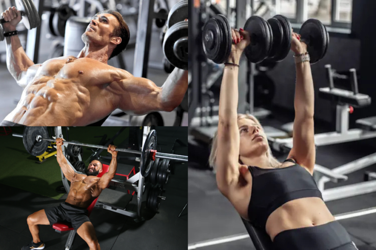 Chest Workout