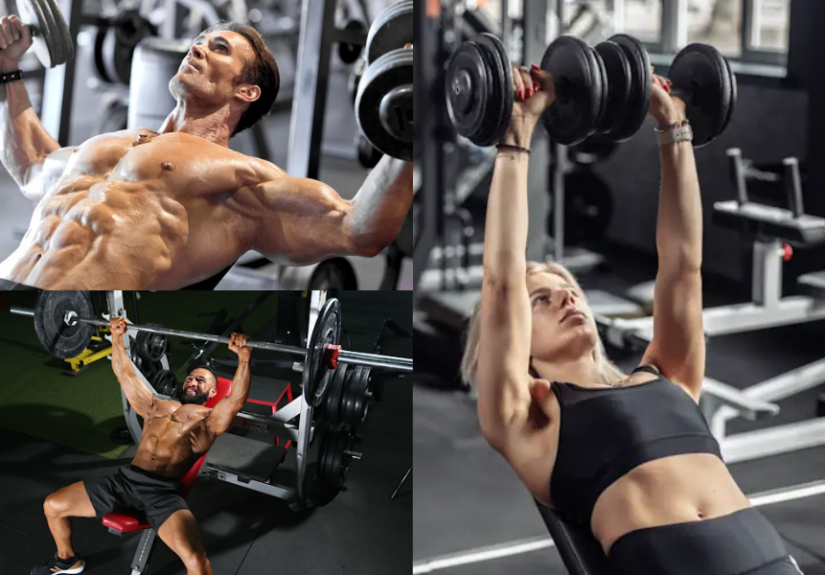 Chest Workout
