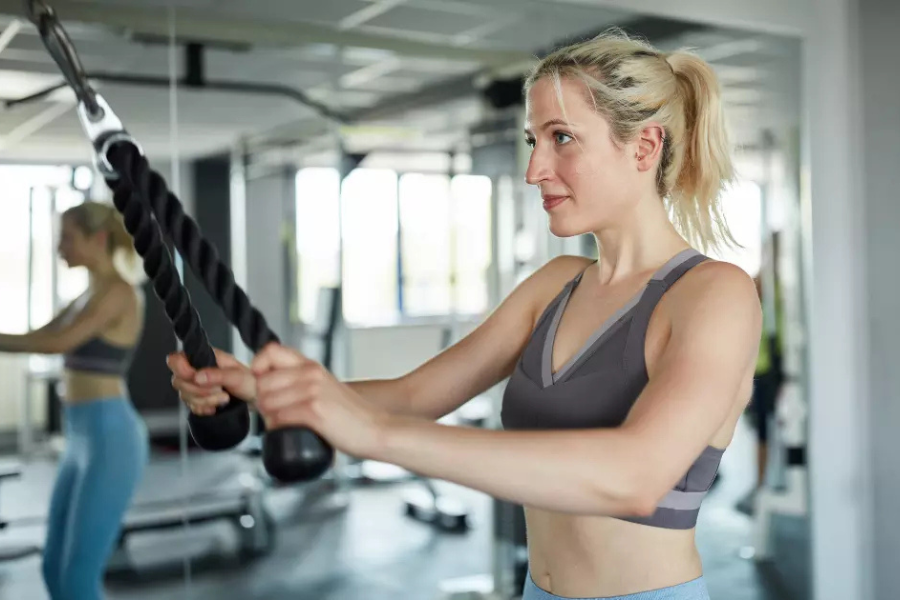 Triceps Workout