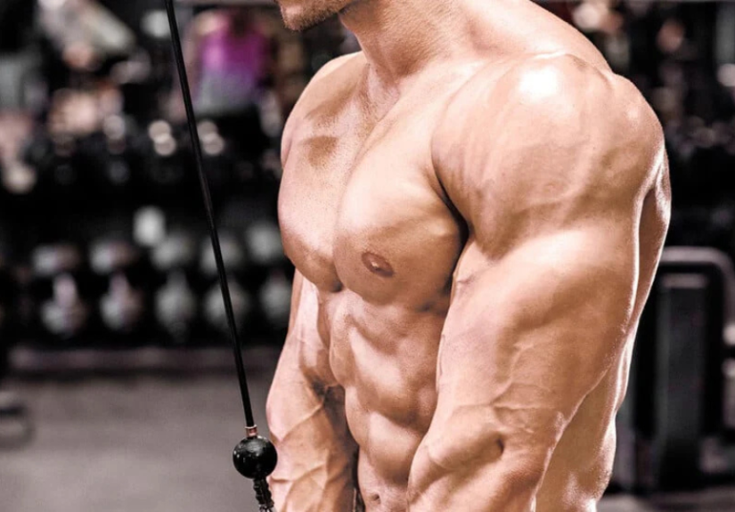 Triceps