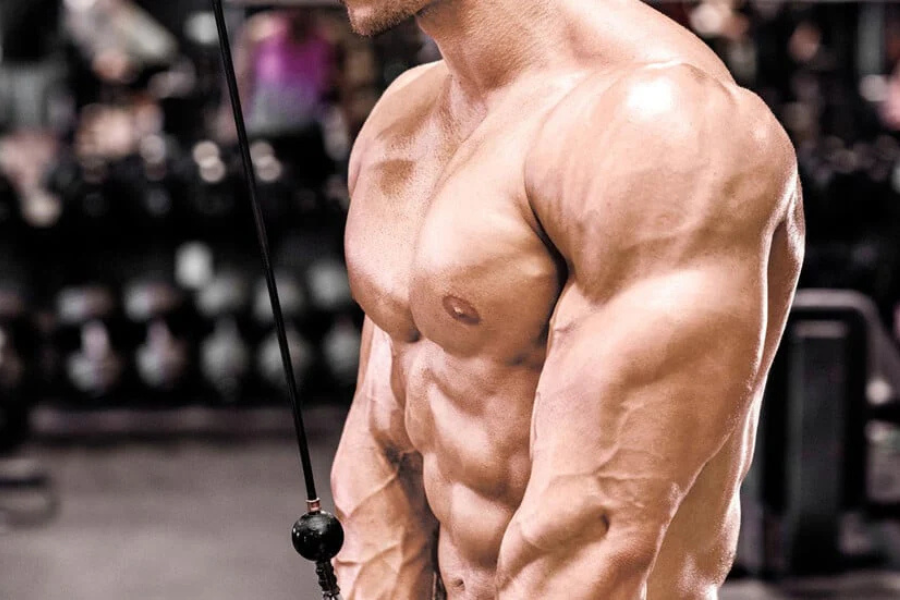 Triceps