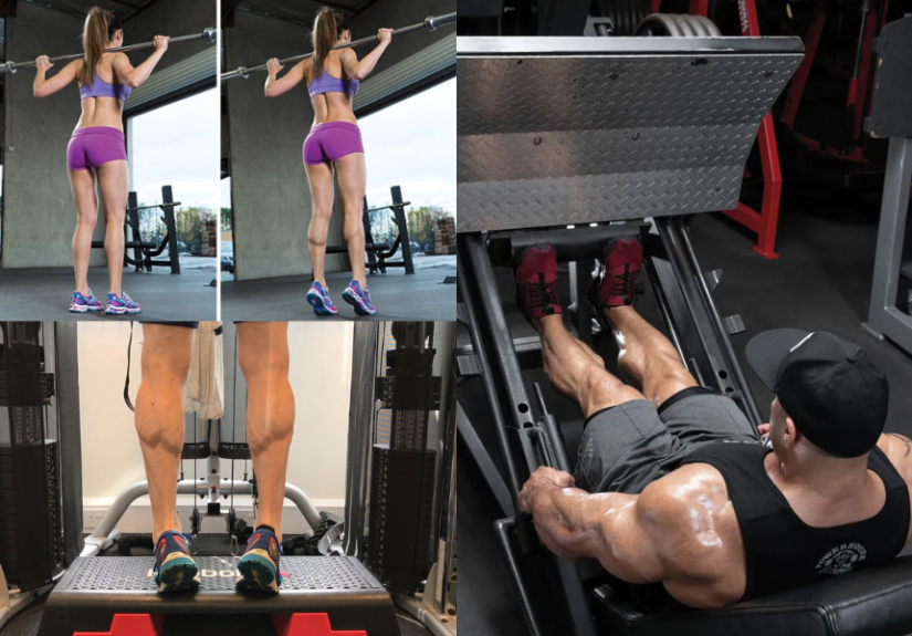 Calf Workout