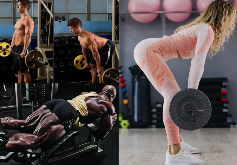 Hamstring Workout