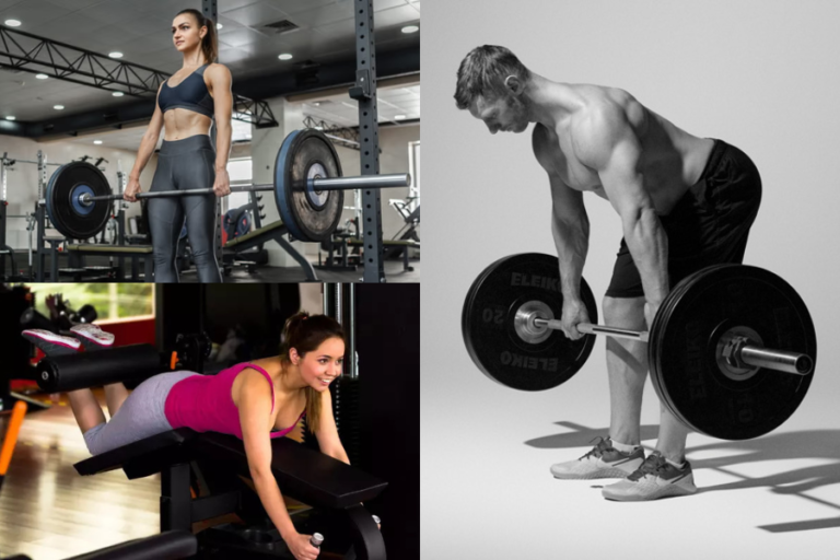 Hamstring Workout