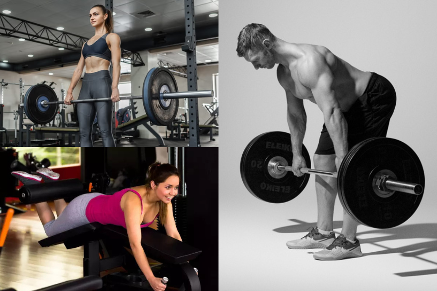 Hamstring Workout